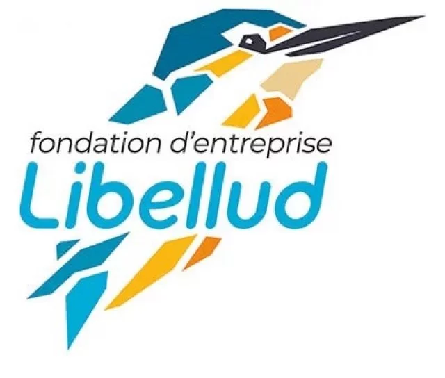 Logo Libellud